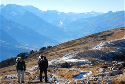 Spätherbst am Burgfeldstand