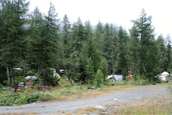 Zeltplatz im lichten Wald