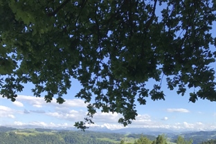 Brätlen ir Nöchi vor Neuegg - Oberbaumen