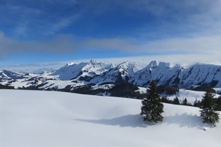 Schneeschuhtour Hohganthütte 2019