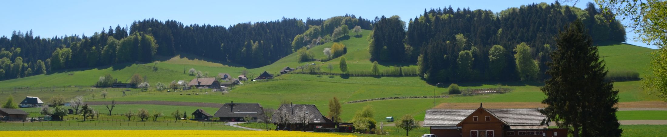 BisehogerÜbersicht
