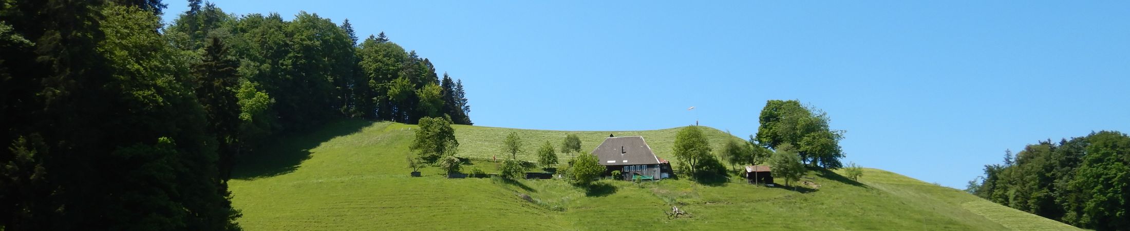BisehogerFrühlingsheu