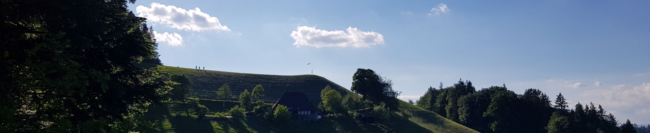 BisehogerGegenlichtFrühling