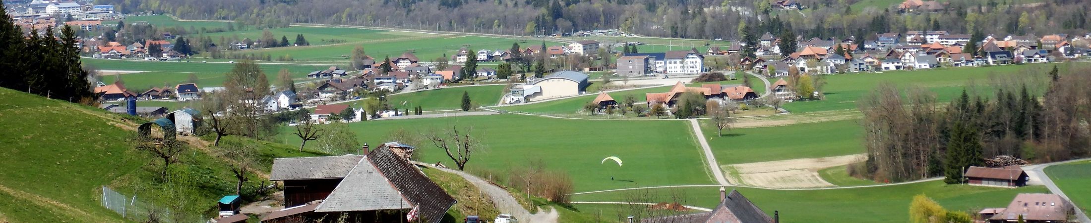 BisehogerLandenFrühling
