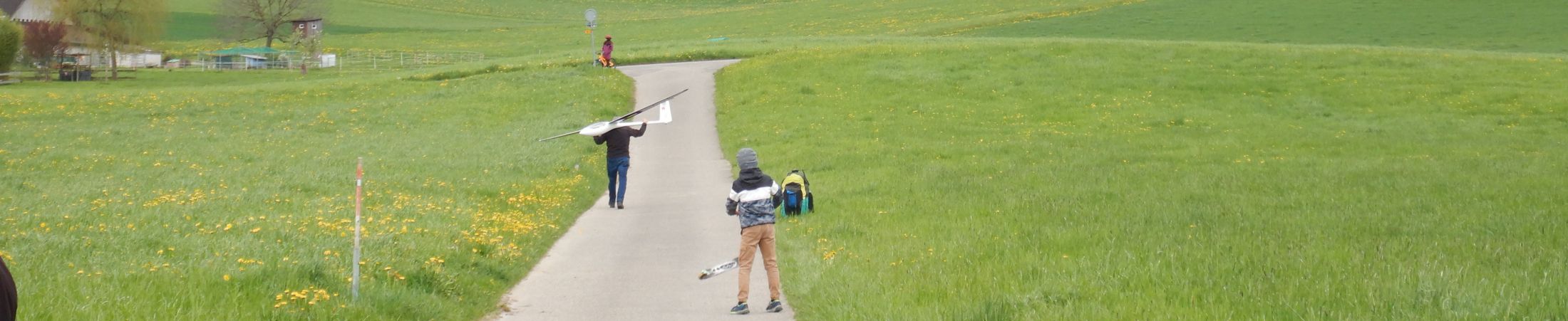 BisehogerModellFrühling