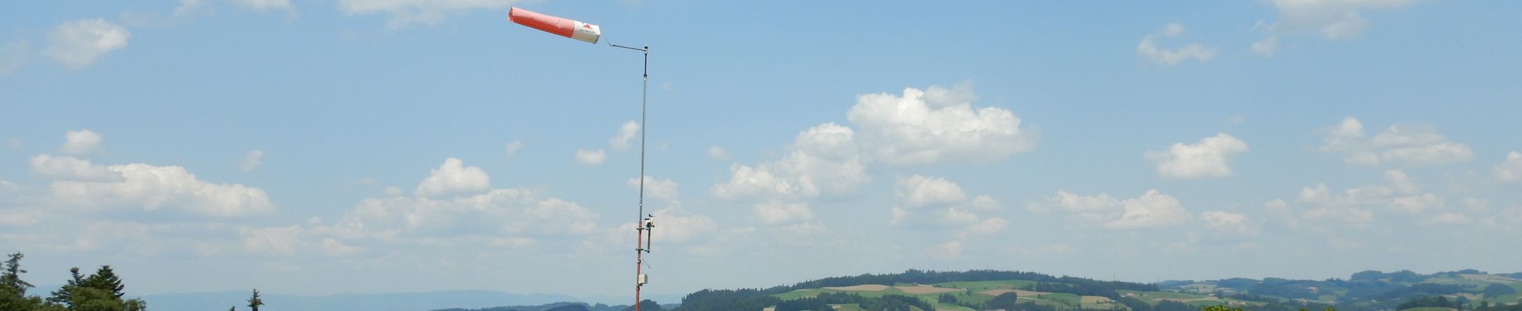 BisehogerWindsackFrühling
