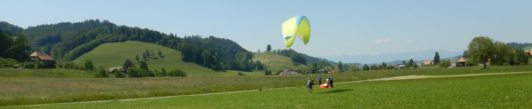 BisehogerLandenFrühling