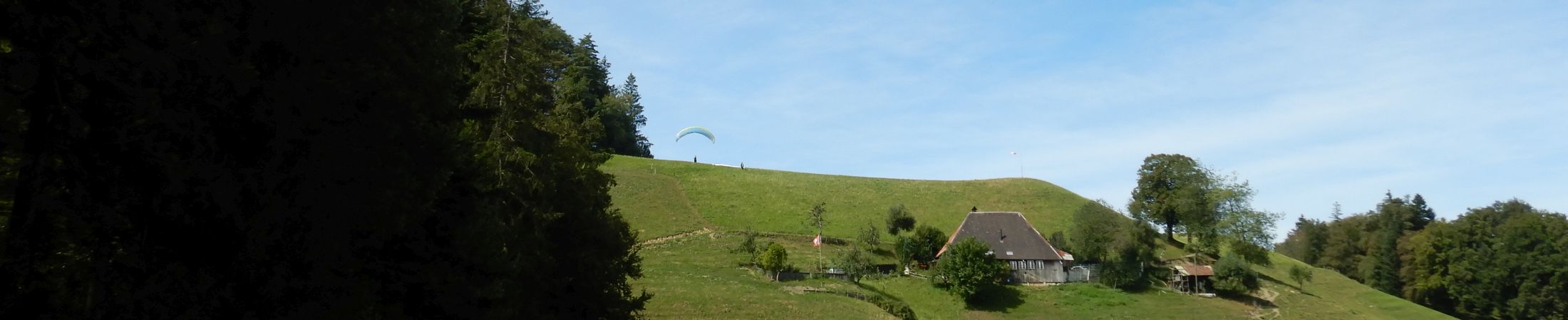 BisehogerSpätsommer